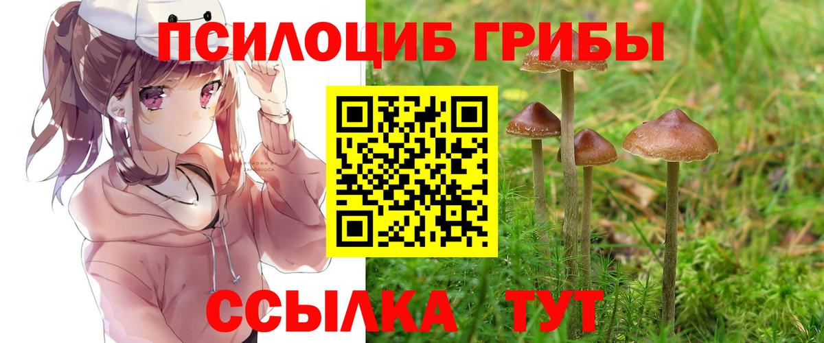 Галлюциногенные грибы Magic Shrooms  Галлюциногенные грибы прущие грибы  Новый Уренгой  Вход с VPN 